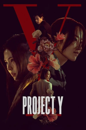 Project Y 2026 Hindi - Korean Dual Audio WEB-DL | Full Movie